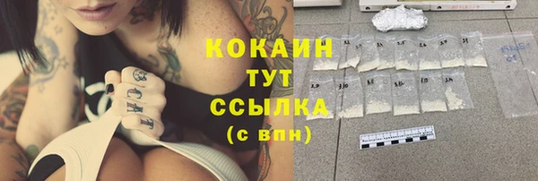 индика Приозерск