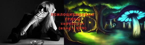 индика Приозерск