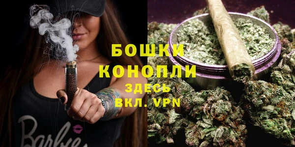 хмурый Бронницы