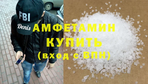 индика Приозерск