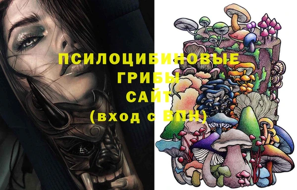 индика Приозерск