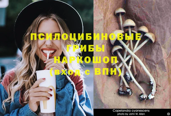 гашишное масло Пролетарск