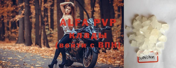 прущие грибы Покачи
