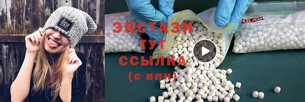 индика Приозерск