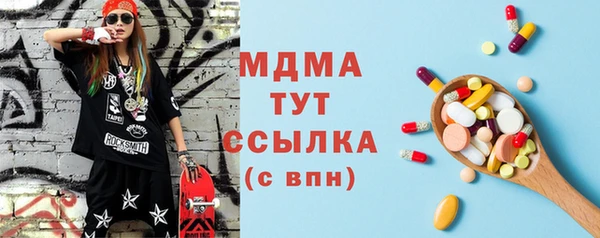 индика Приозерск