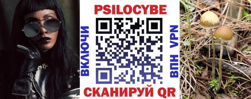Псилоцибиновые грибы Psilocybe  Куса 
